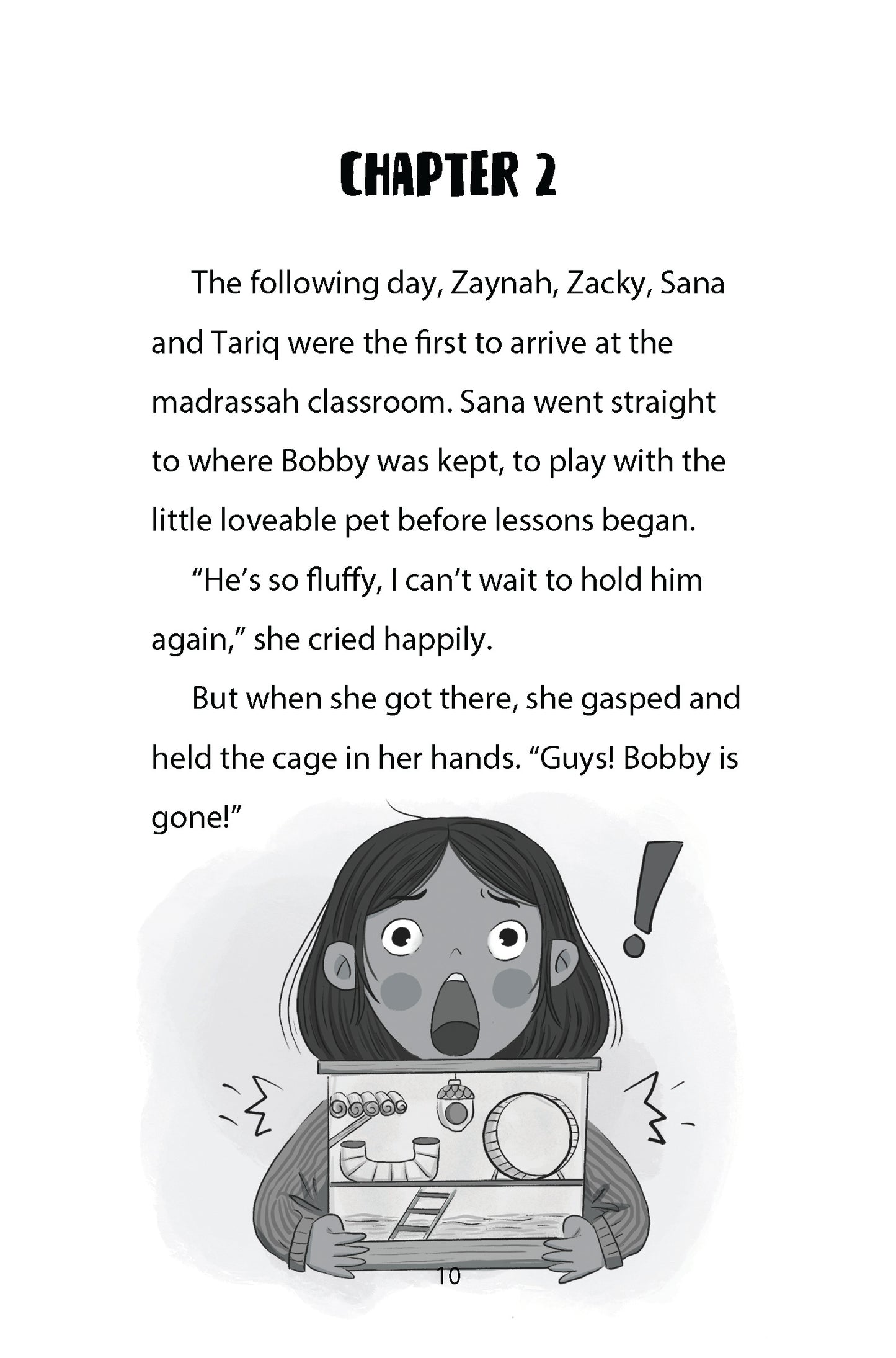 Madrassah Mysteries: The Case of the Great Gerbil Escape image 2