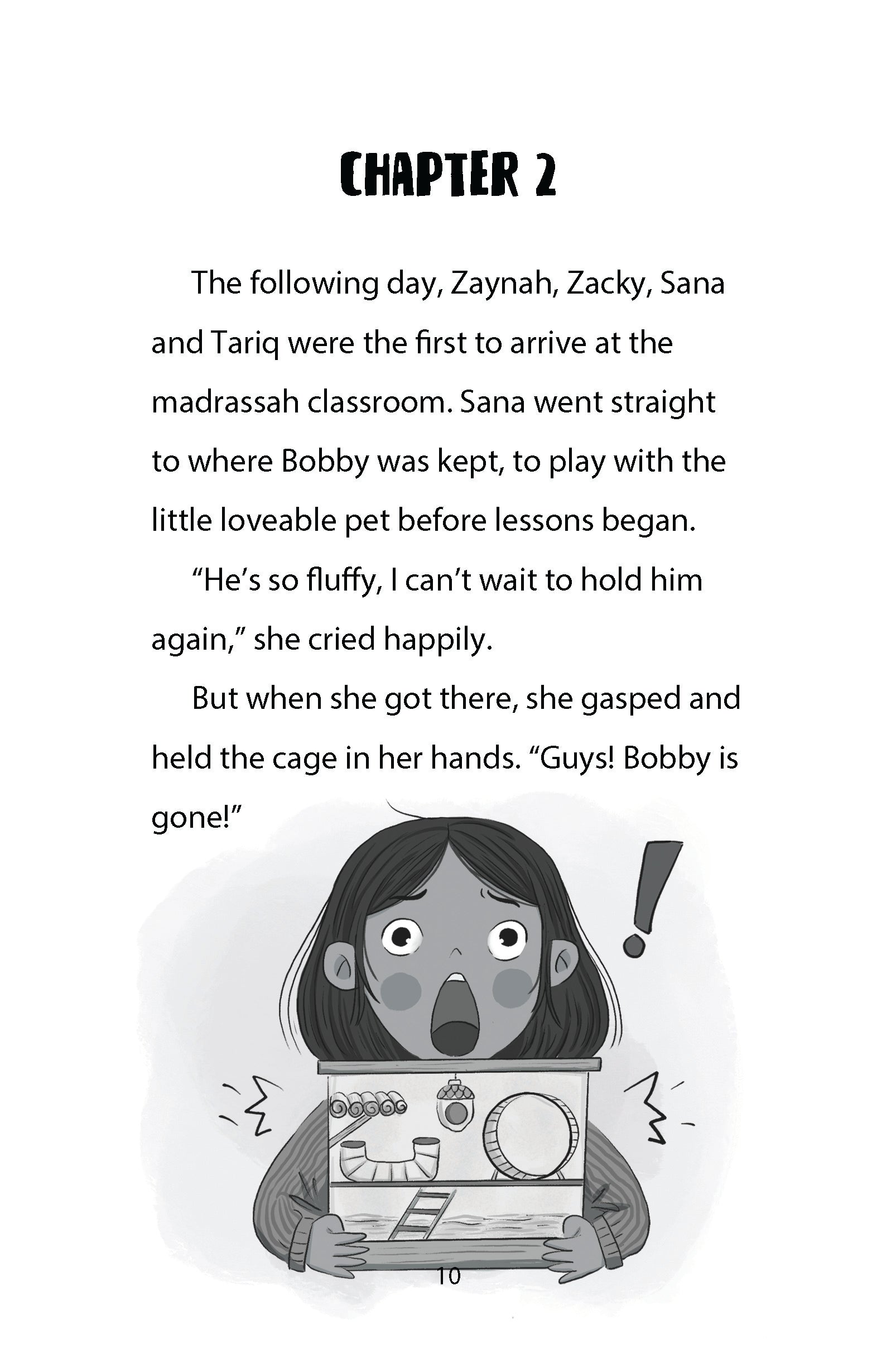 Madrassah Mysteries: The Case of the Great Gerbil Escape image 2