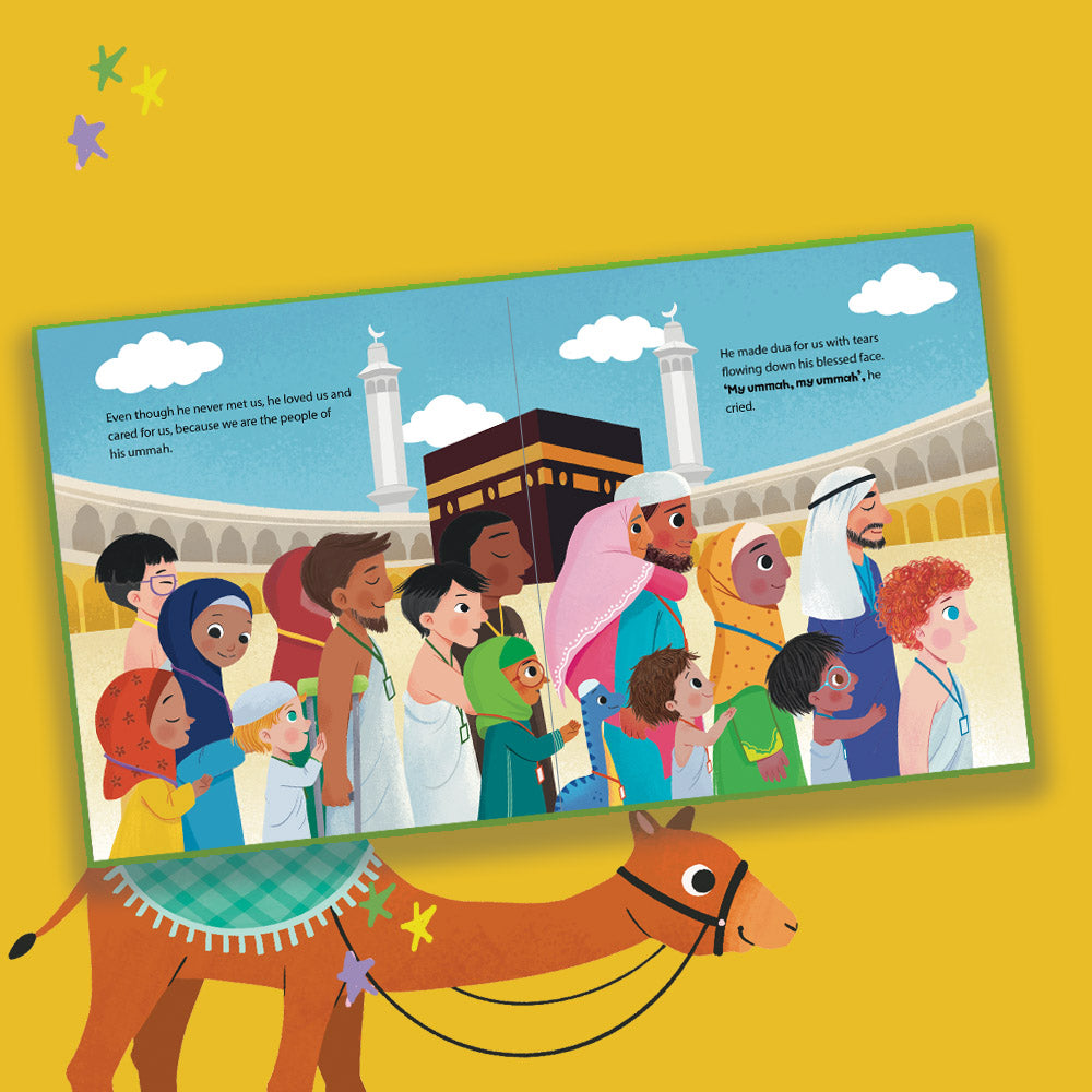Momo & Bronty Board Book Set